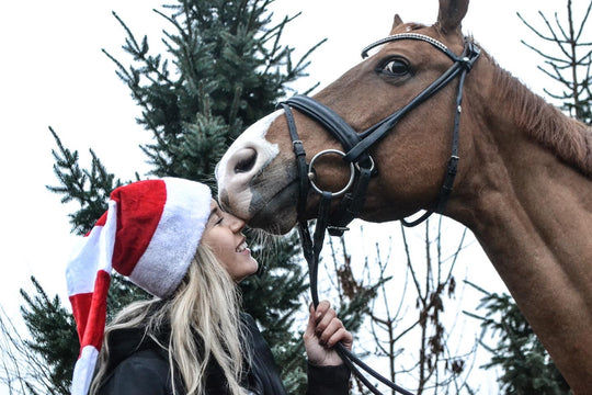 Looking back on 2021: Wishing you all a Merry Christmas