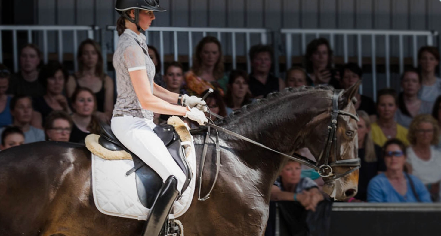 Riding with Passion: Romy Van der Schaft's Equestrian Odyssey