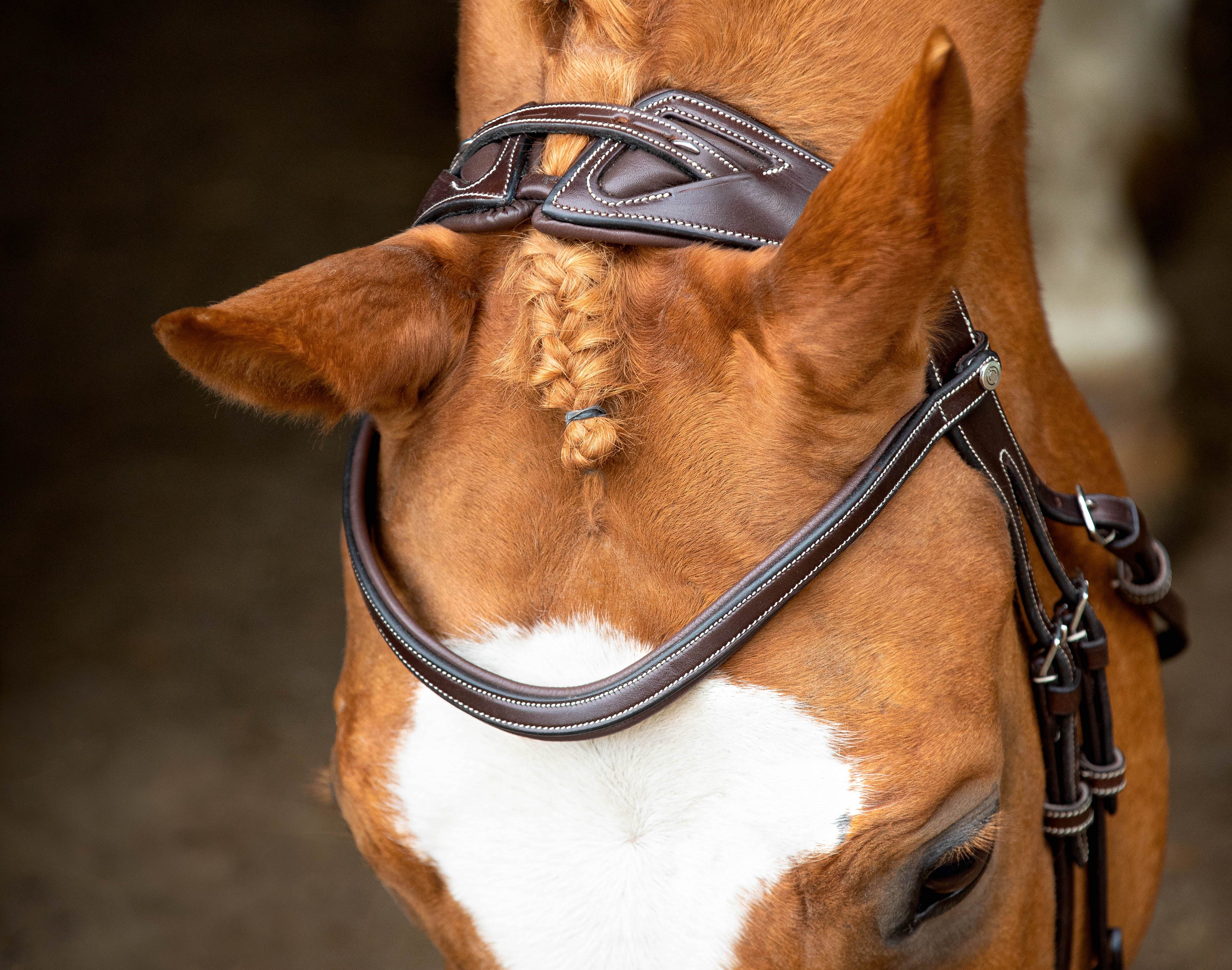 Monarch Organic Tanned Bridle