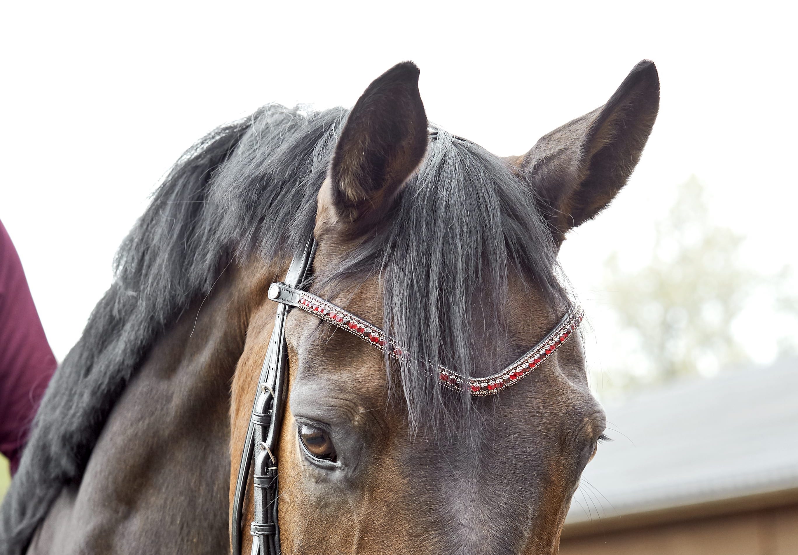 what are half saddle pads used for