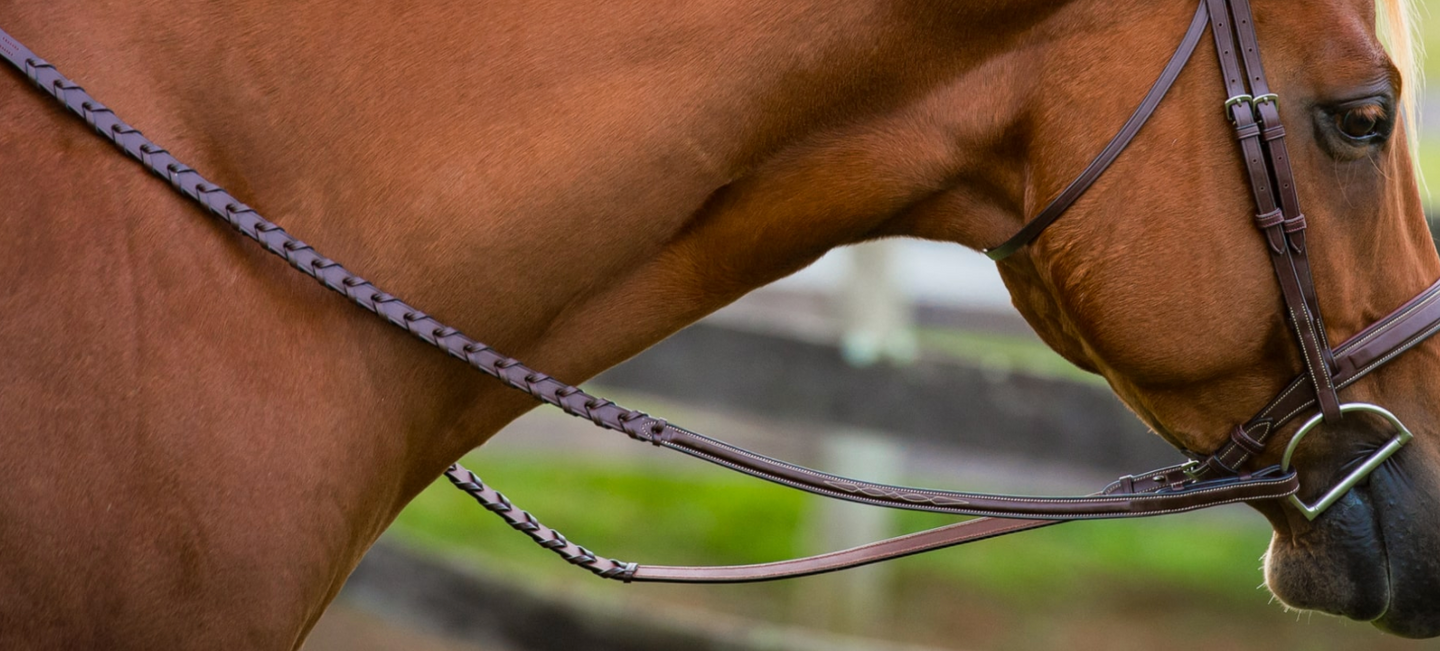 Reins