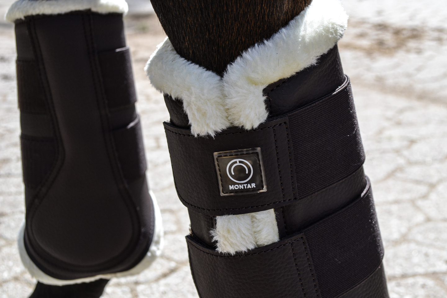 Leg Protection